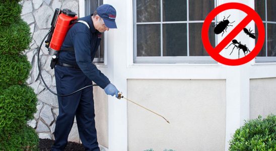 Akıncılar Bit İlaçlama böcek ilaçlama ve haşere kontrolü — ilaclama-tr.com